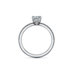Asscher Cathedral Halo Pave