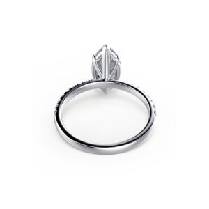 Marquise Pave